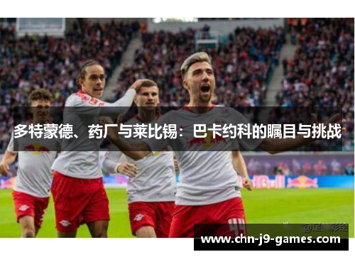 多特蒙德、药厂与莱比锡:巴卡约科的瞩目与挑战 多特蒙德、药厂与莱比锡:巴卡约科的瞩目与挑战